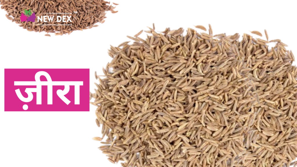 जीरा 