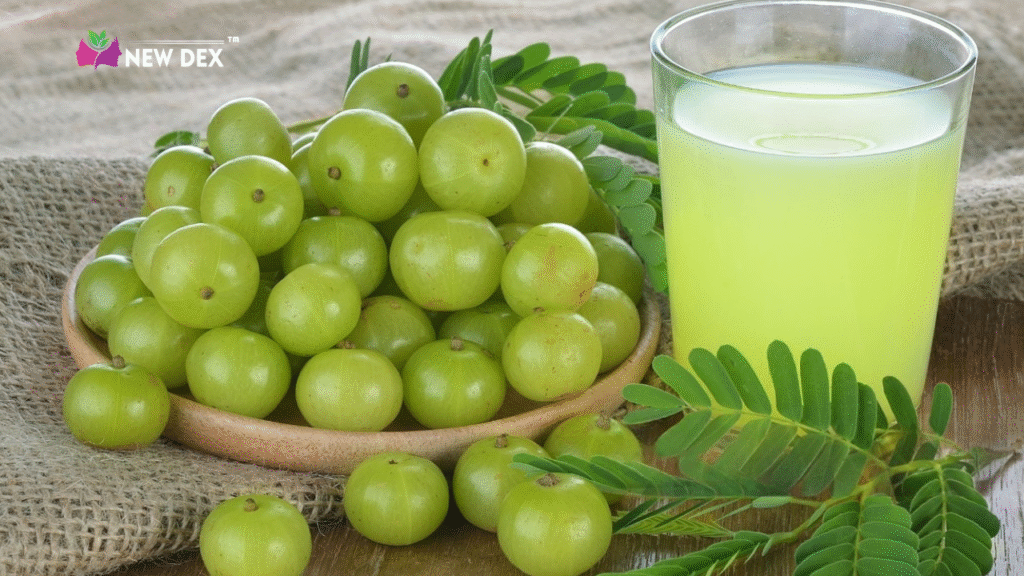Benefits of Amla