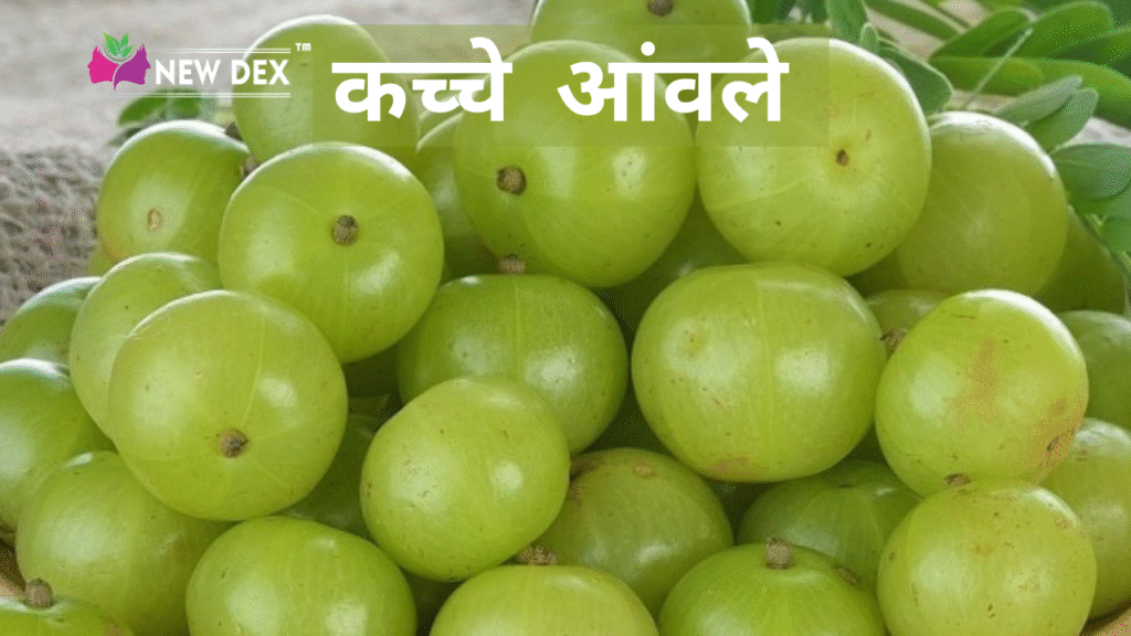 Benefits of Amla
